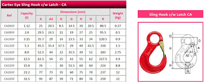Cartec G80 Eye Sling Hook c/w Latch - CA-F - Data
